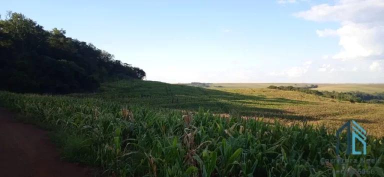 Imagem Sítio com 36 Alqueires, na Barranca do Rio Ivaí, localizado a 8 km da rodovia que liga engenheiro Beltrão a Maringá PR