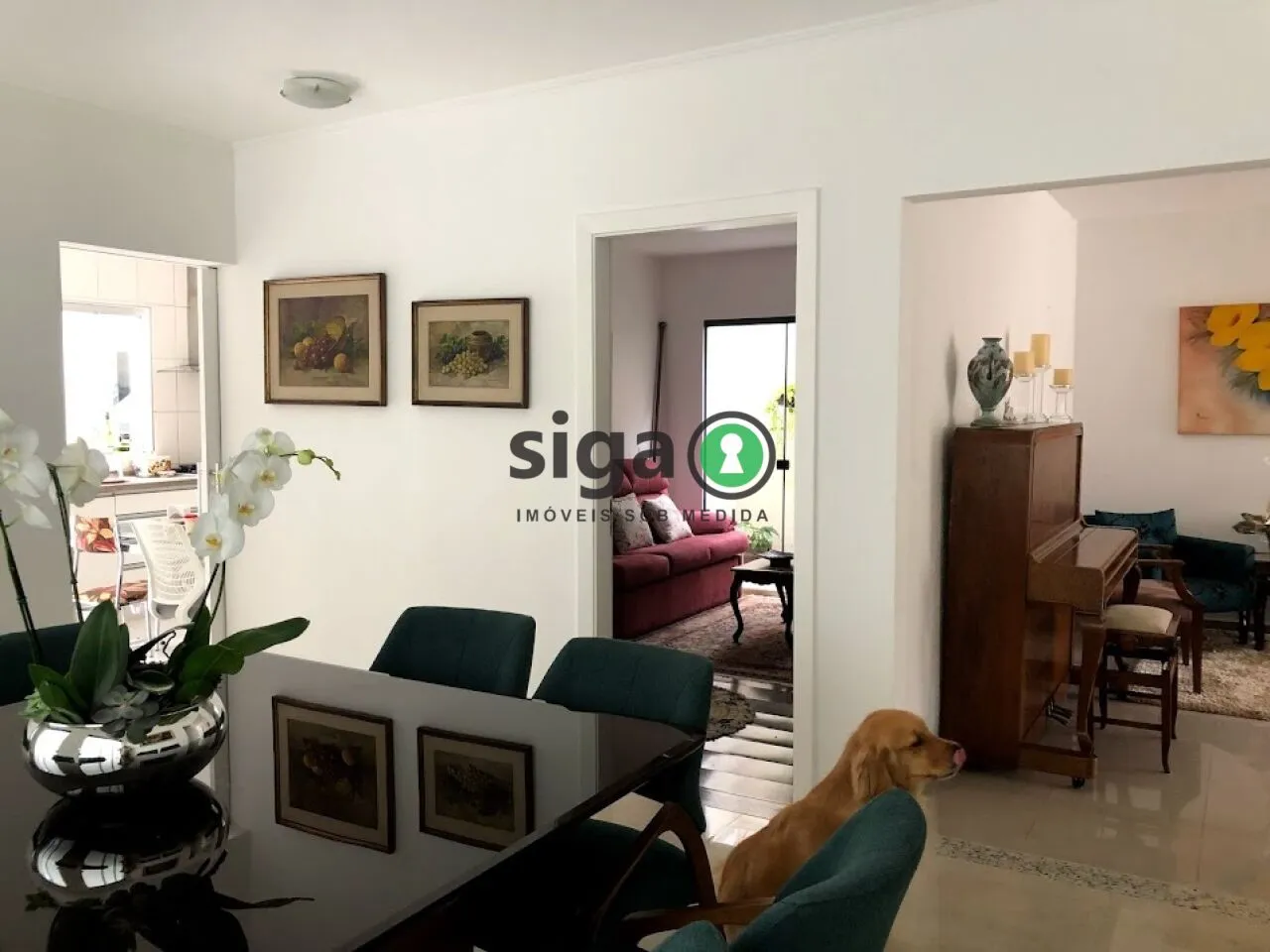 Imagem Casa incrível a venda, com 375m2 de área construída, 3 Suites sendo 1 suite master