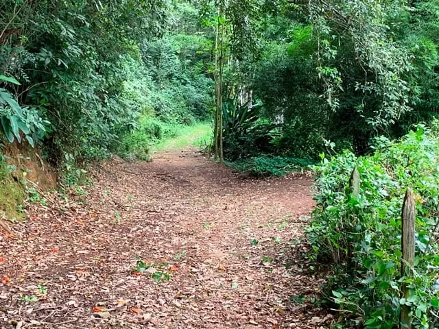 Imagem Chácara à venda 994000M², Barreiro, Aparecida - SP