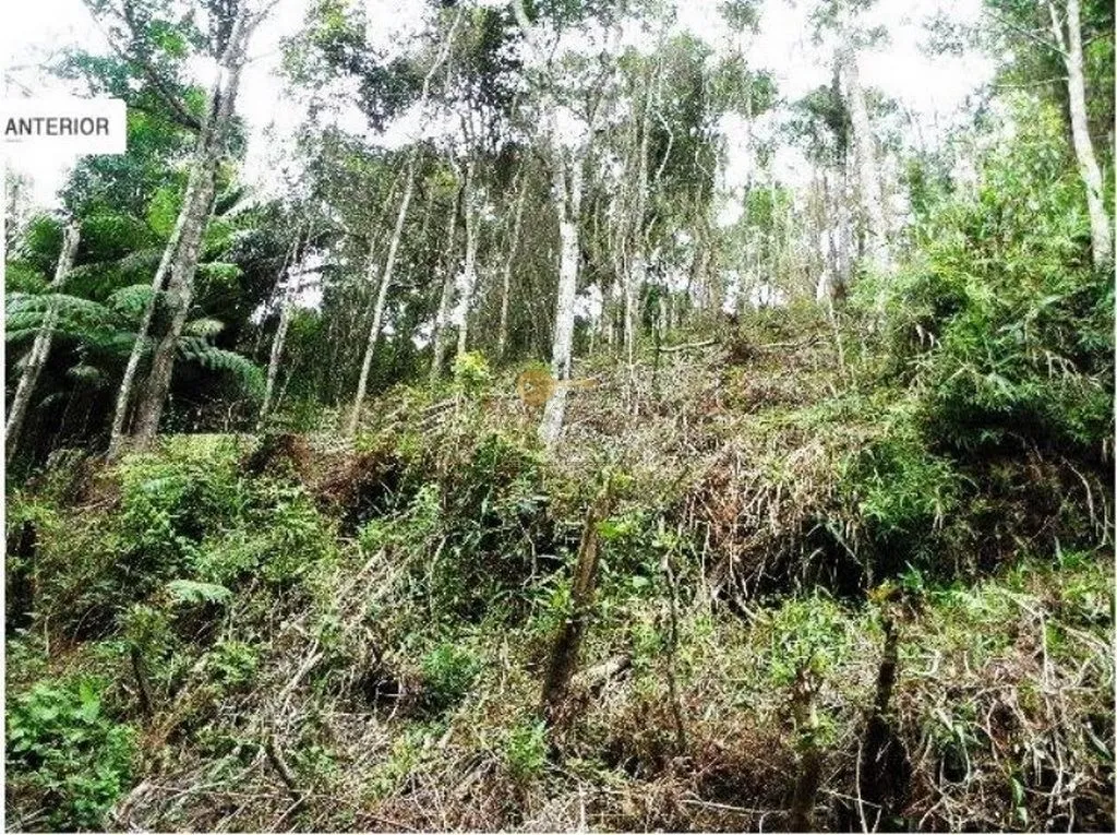 Imagem Terreno para Venda em Teresópolis / RJ no bairro Albuquerque
