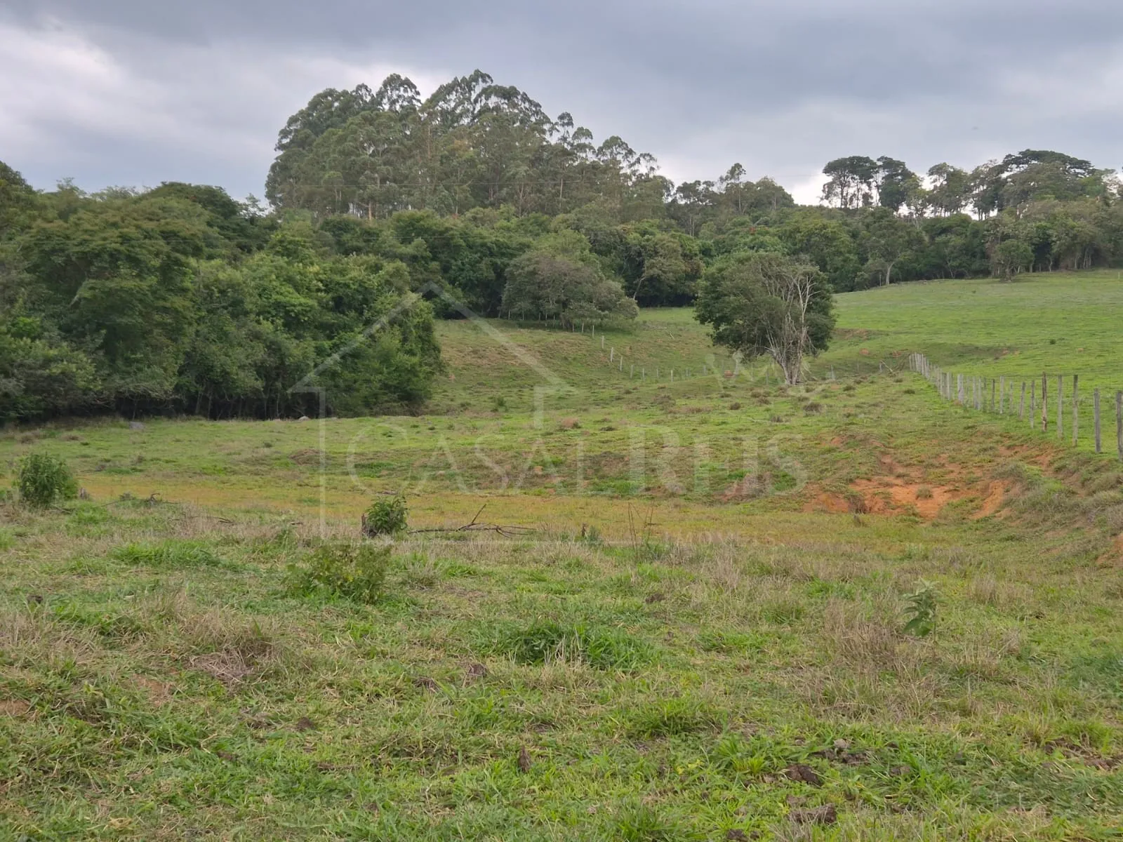 Imagem Chácara 2,4 ha à venda em Área Rural, Bandeira do Sul