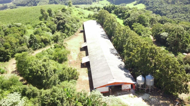 Imagem Área Agrícola para Venda em Ipumirim, Rural