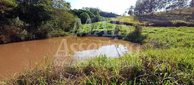 Imagem Exclente chacara de 2,3 hectares em Lomba Grande, Novo Hamburgo