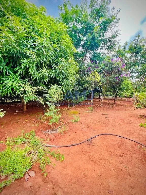 Imagem Entre a Sofisticação e o Verde: Viva com Privacidade e Conveniência no Condomínio Alto da Boa Vista