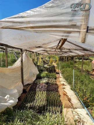 Imagem EXCELENTE SÍTIO EMATIBAIA-SP Características: 3,5 alqueires de área total (aprox. 75.000,00 m²) ...