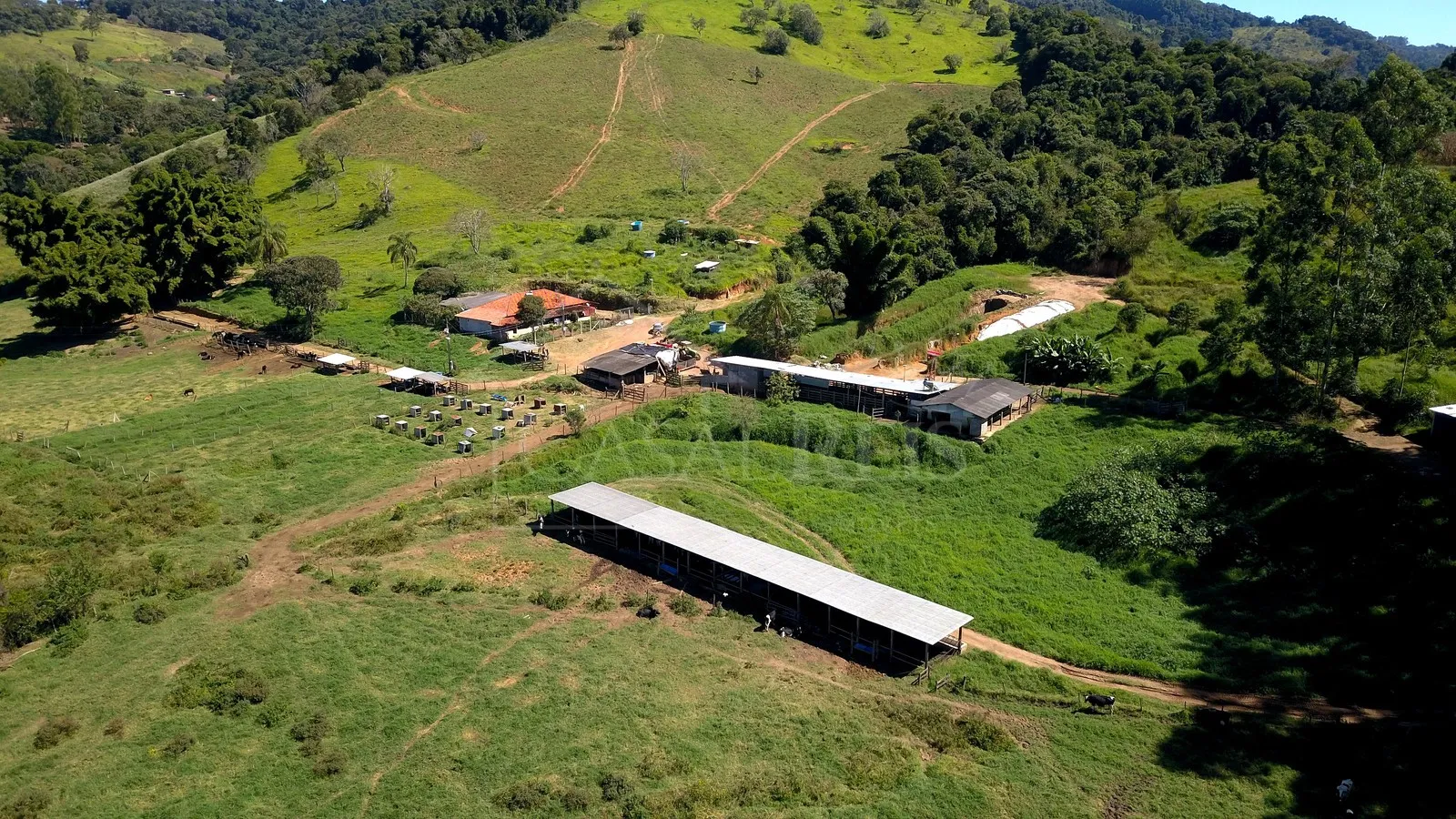 Imagem Sítio 24,2 ha à venda em Área Rural, Caldas