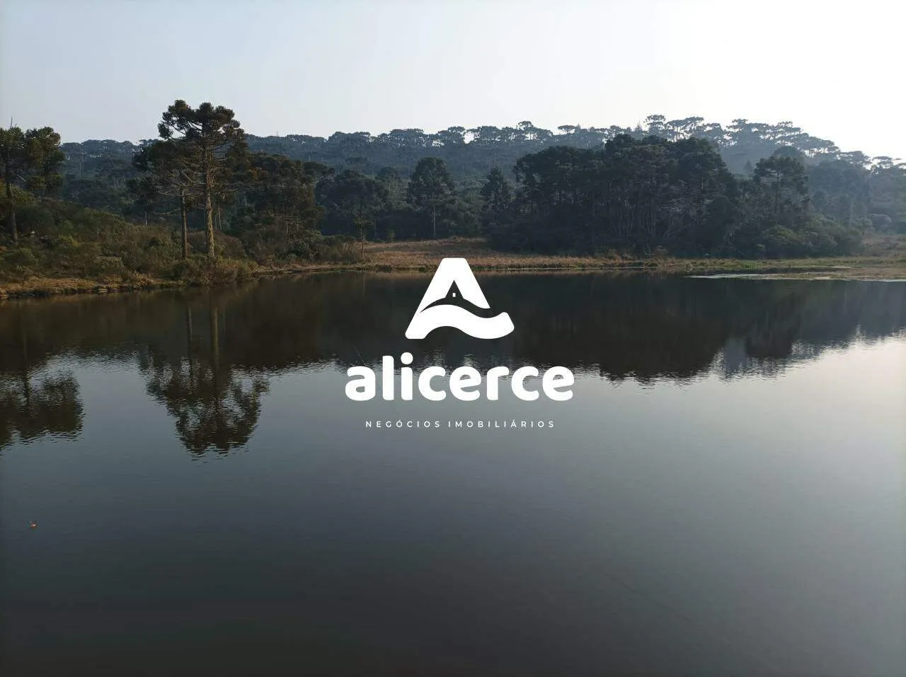 Imagem Fazenda Produtiva à Venda em São Joaquim/SC | 3.200 Macieiras | Araucárias | Lago | Nascente | Exclusividade Imobiliária Alicerce