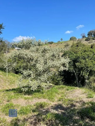 Imagem Terreno à venda, 1940 m² por R$ 198.000 - Lavras de Cima - Socorro/SP