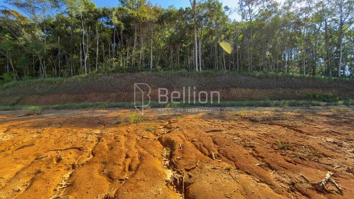 Imagem Terreno à venda no bairro Vila Germer em Timbó/SC