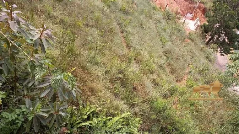 Imagem Terreno à venda, 668 m² - V Cristina - Campos do Jordão/São Paulo