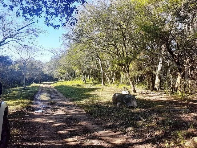 Imagem Area para Venda - 707126m², Lami