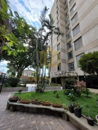 Imagem Lindo Apartamento Localizado no Monte Castelo 3 dormitorios Suite Planejados