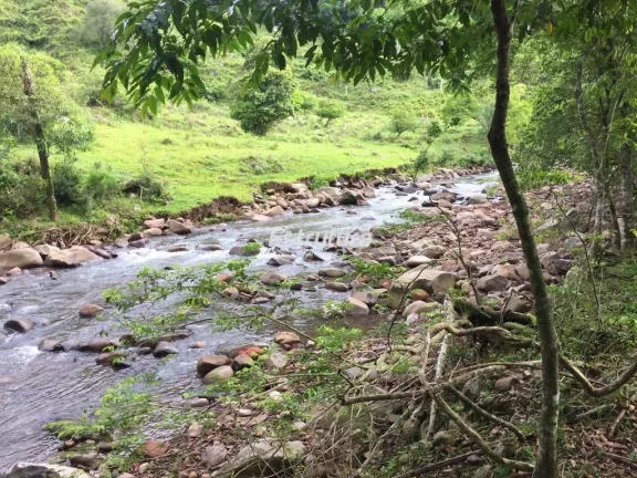 Imagem Sítio maravilhoso com 47 hectares de natureza exuberante!