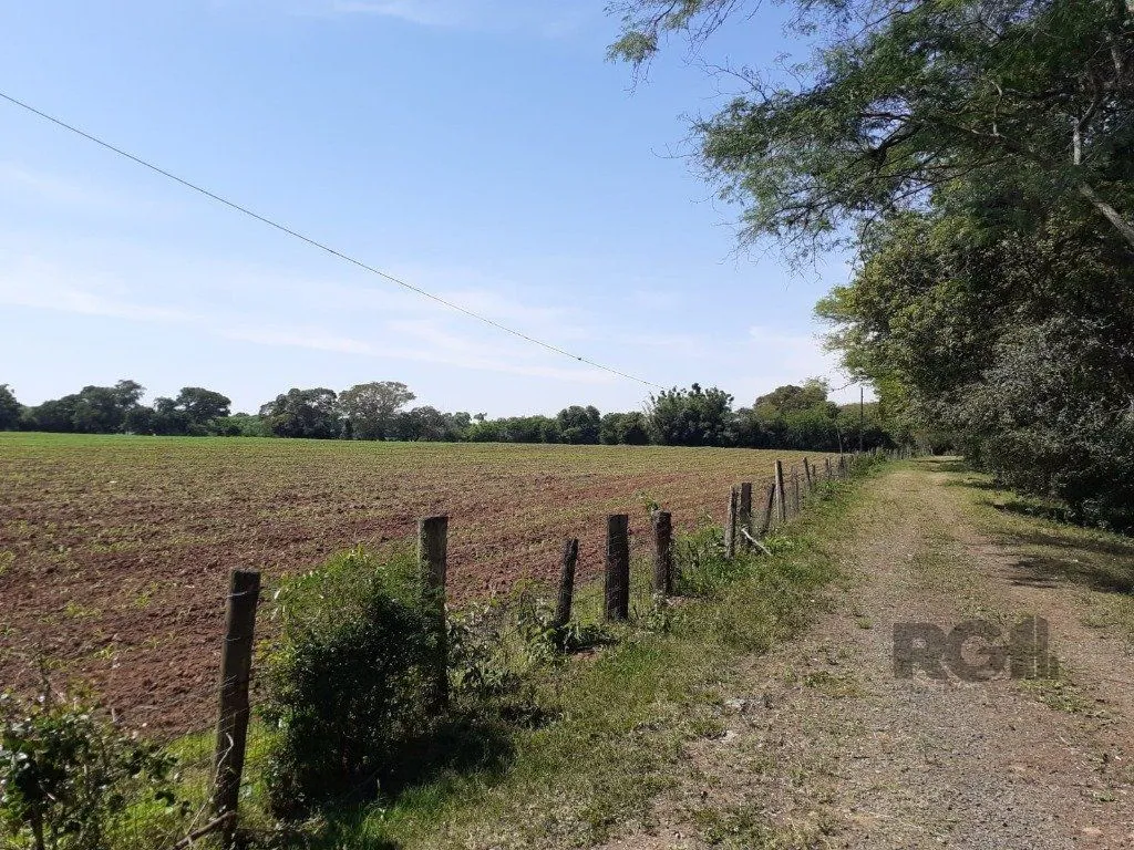 Imagem SÍTIO - 8 ha 2.980 m² de extensão - 5 dormitórios - 2 vagas - TRIUNFO-RS