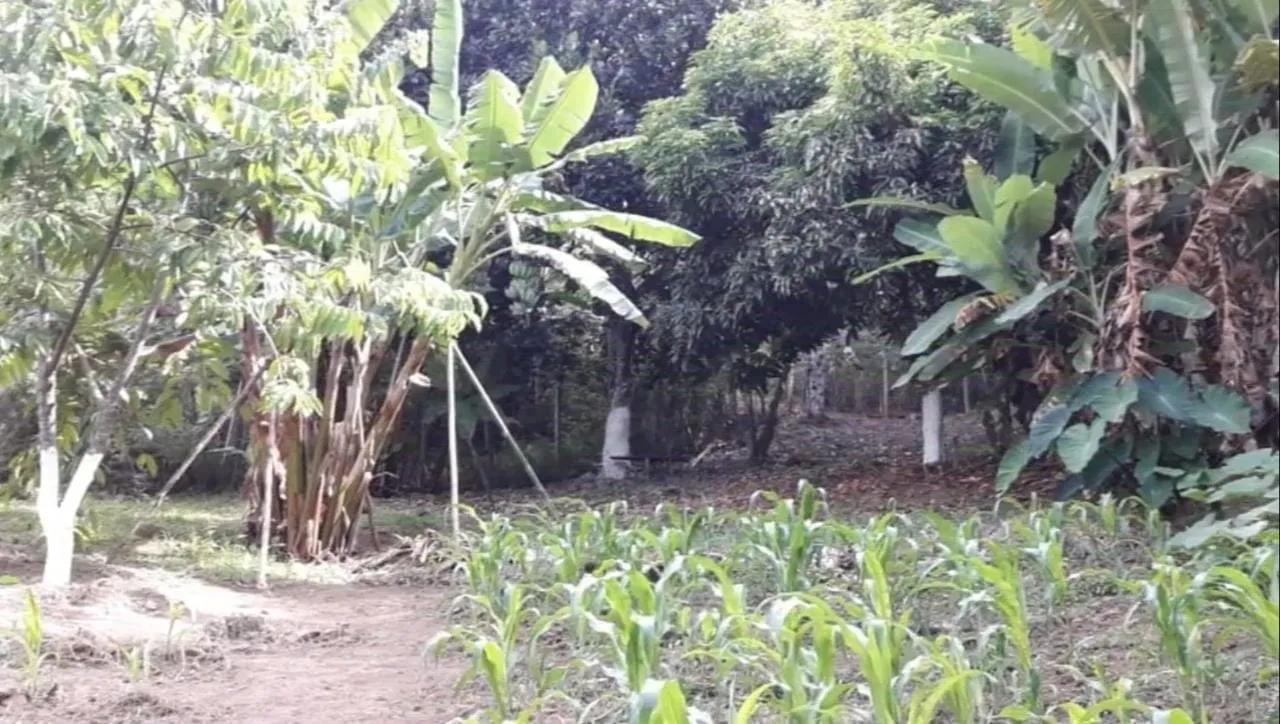 Imagem Chácara à venda 3 Quartos, 1 Suite, 4 Vagas, 31000M², Zona Rural, Redenção da Serra - SP
