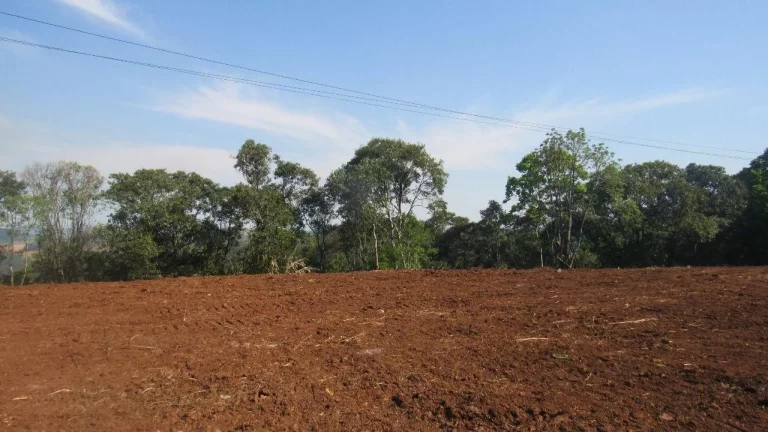 Imagem Terreno para Venda em Concórdia, Interior