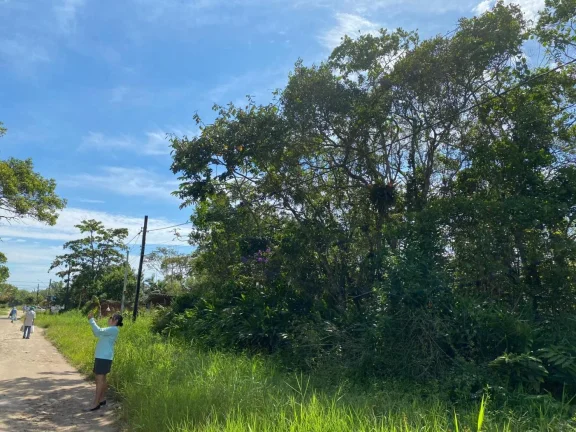 Imagem Terreno para Venda em Itanhaém, Jardim Luiza Mar Mirim
