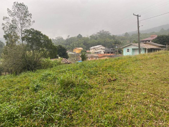 Imagem Terreno à Venda, 2.941 m² em São Simão - Criciúma