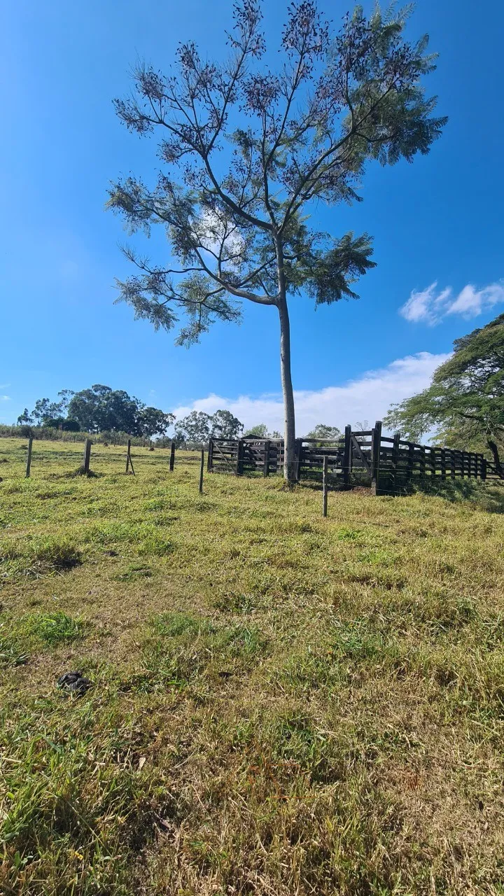 Foto do imóvel: Sítio em Cesário Lange/SP com 4,59 alqueires: topografia excelente e acesso à Castelo Branco.