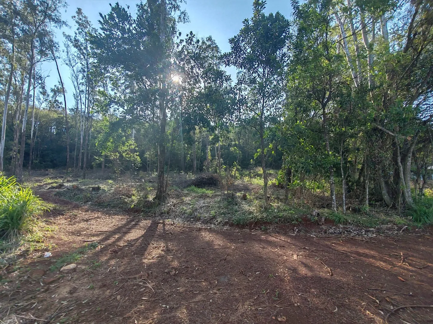 Imagem Chácara com 25.945 m² à venda em São Miguel do Iguaçu