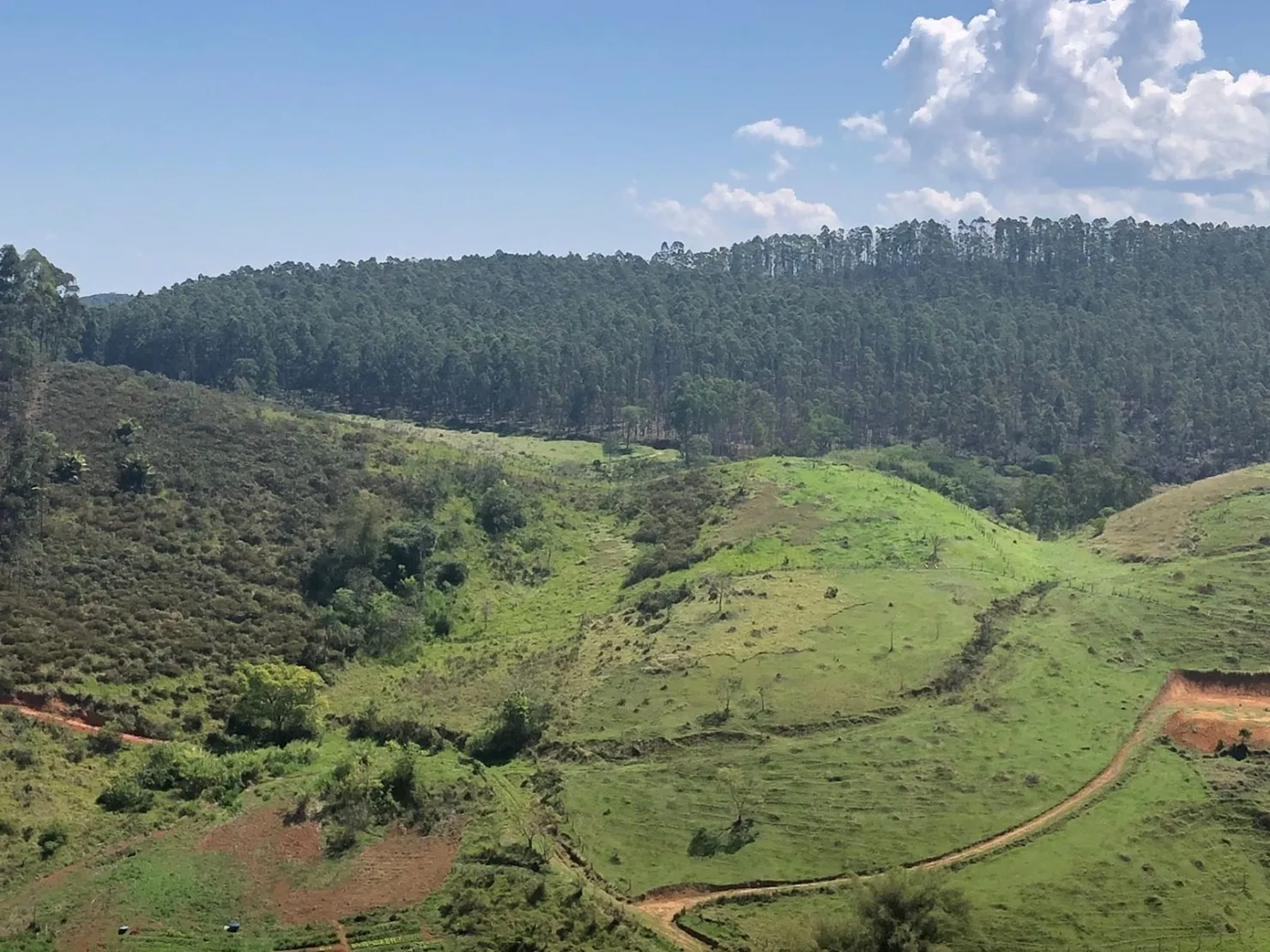 Imagem Sítio com 9 Alqueires em Ribeirão Grande com Abundância de Água