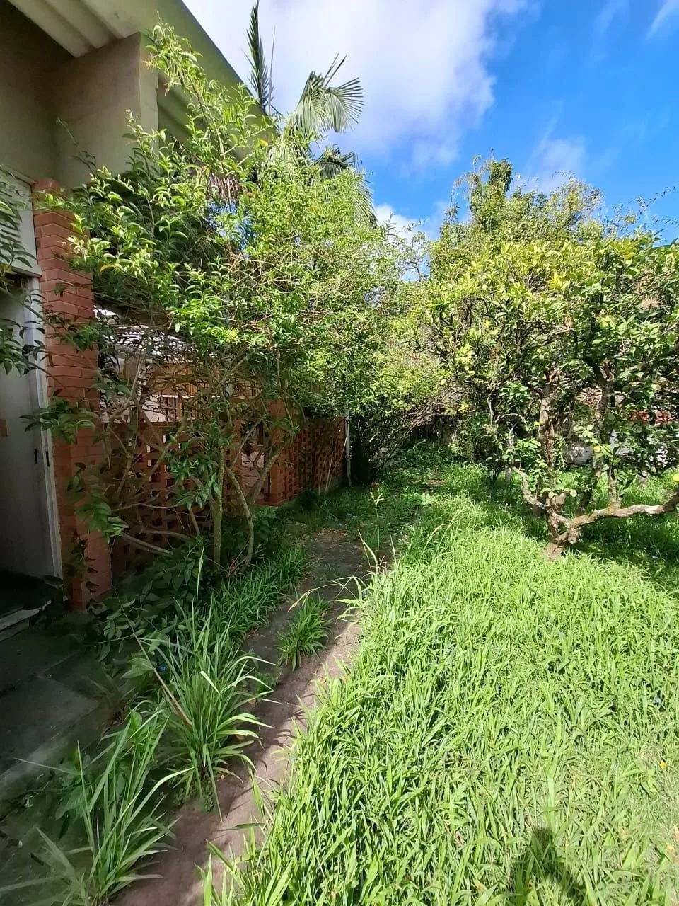 Imagem Casa no bairro ipanema 4 dormitórios