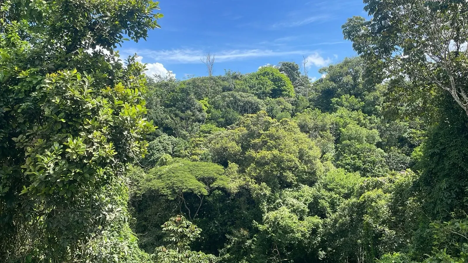 Foto do imóvel: Casa com 5 Quartos à Venda, 220 m² em Aldeia dos Camarás - Camaragibe