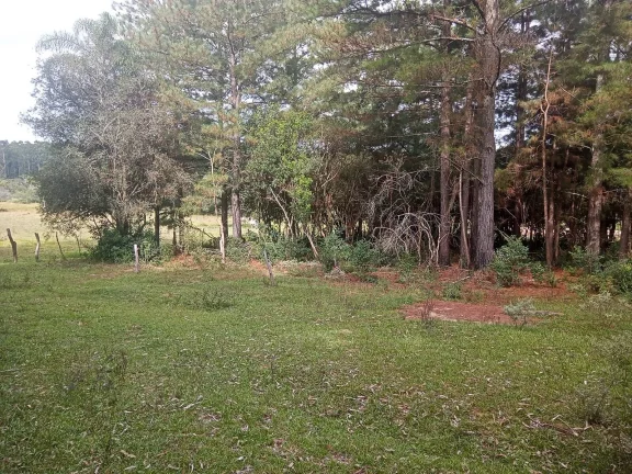 Imagem Sítio com 1200m², Casa e Galpão, Próximo a RS 040, Morro Grande, Viamão