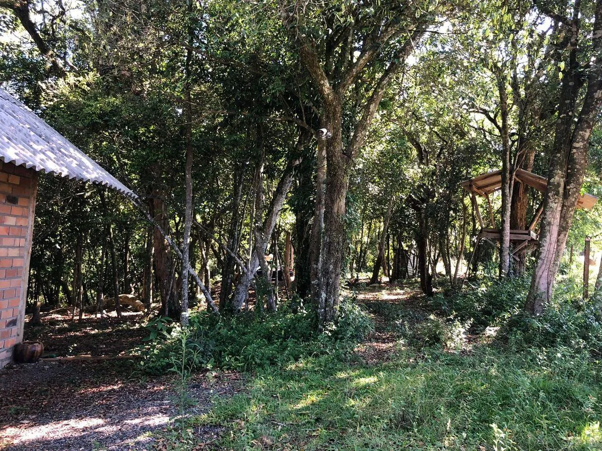 Imagem Chácara para venda , localizado em São João do Deserto, Lomba Grande em Novo Hamburgo/RS.