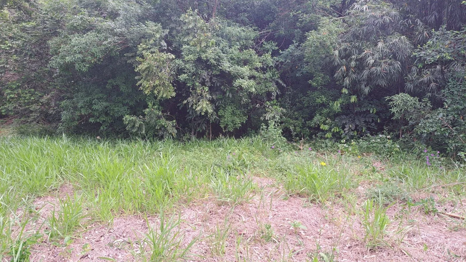 Imagem TERRENO BAIRRO EM CANOAS