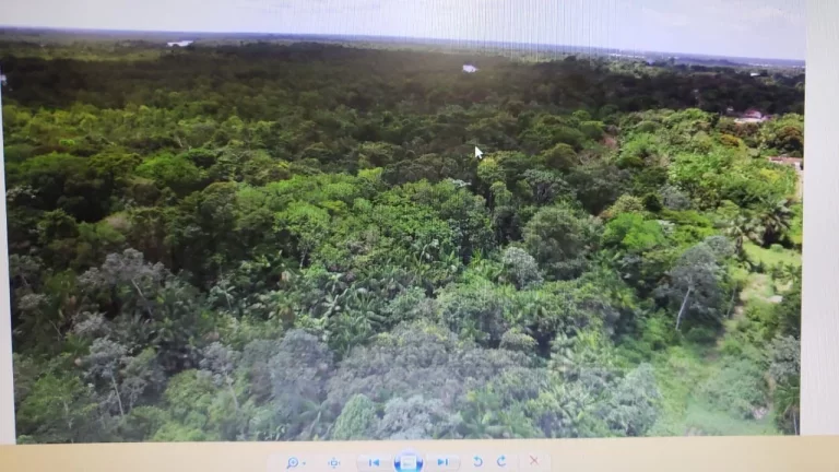 Foto do imóvel CASAL IMÓVEIS VENDE GRANDE ÁREA 72.000 M2