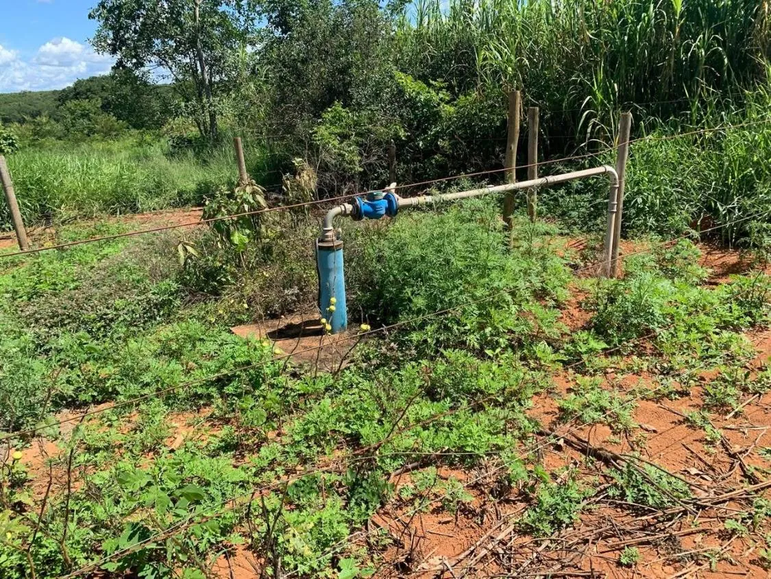 Imagem FAZENDA a venda 95ha em CURVELO/MG