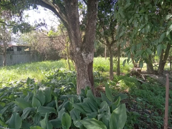 Imagem Terreno à venda, 900 m² por R$ 799.000,00 - Chácaras Reunidas Guaio - Suzano/SP