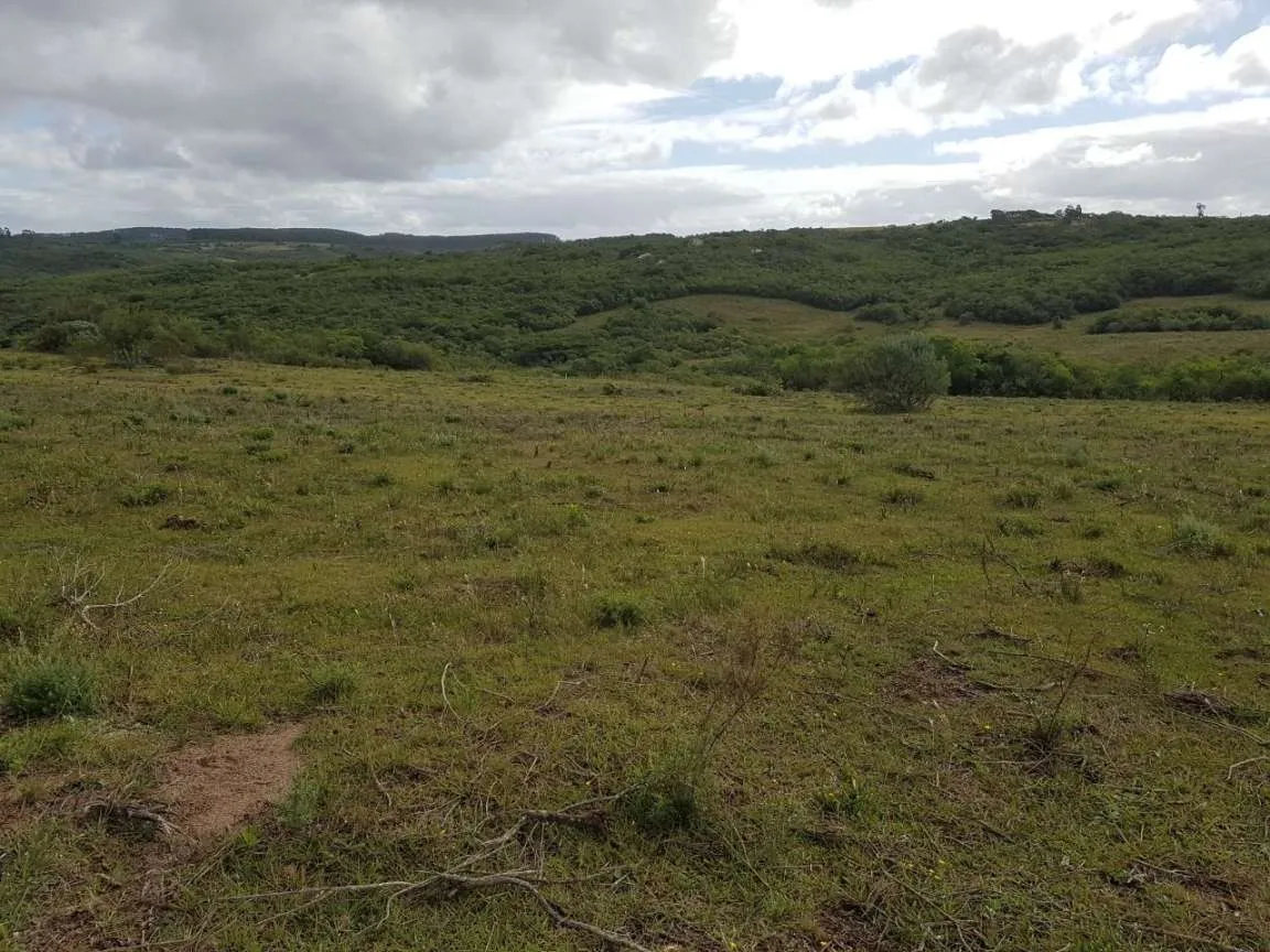 Imagem Sítio para Venda em Pedro Osório, Brasileiras