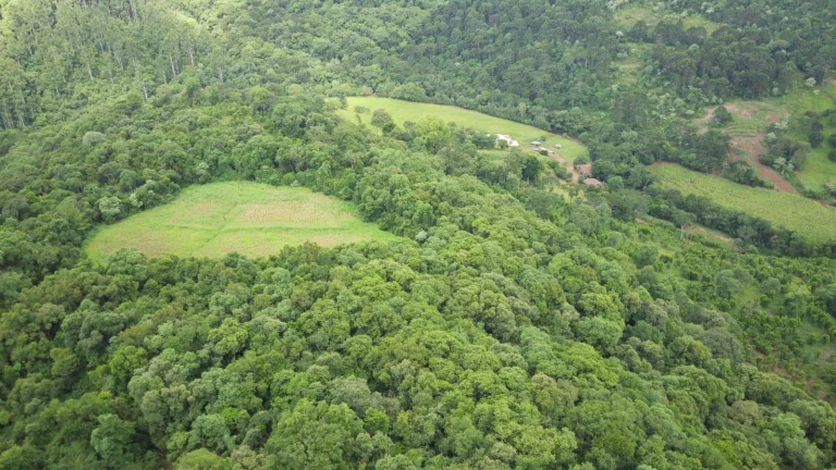 Imagem Área Agrícola para Venda em Concórdia, Concórdia