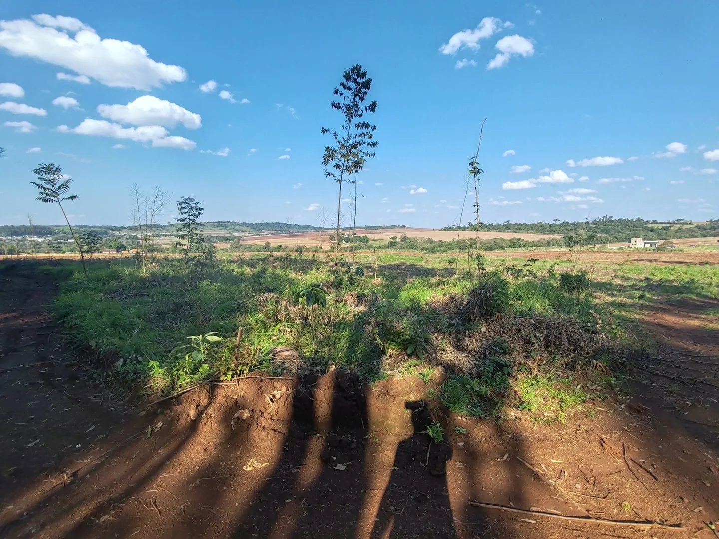 Imagem Chácara com 25.945 m² à venda em São Miguel do Iguaçu