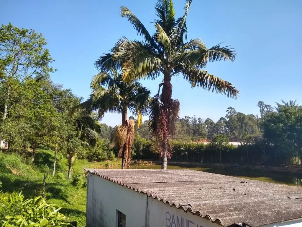 Imagem Área à venda, 18200 m² por R$ 12.100.000,00 - Jardim Bela Vista - Guarulhos/SP