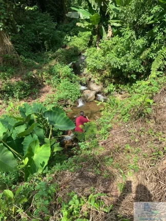 Imagem Rural - Chácara, para Venda em Rio dos Cedros/SC