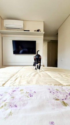 Imagem Apartamento com 3 Quartos à Venda, 98 m² em Chácara Inglesa - São Paulo