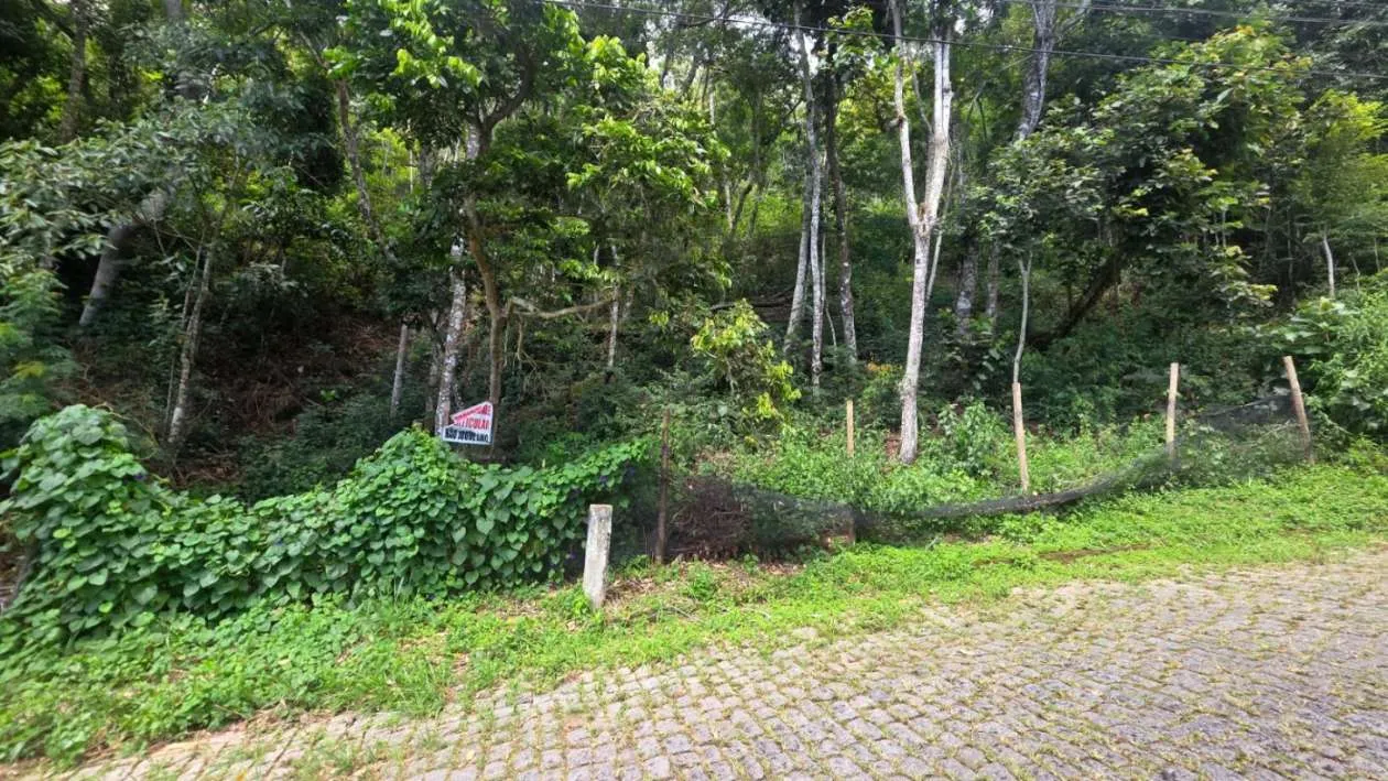 Foto do imóvel Terreno para Venda em Teresópolis / RJ em Rua Rodolfo Amoedo