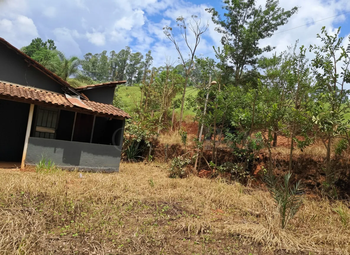 Imagem Chácara 70 m² à venda em Pião, Campestre