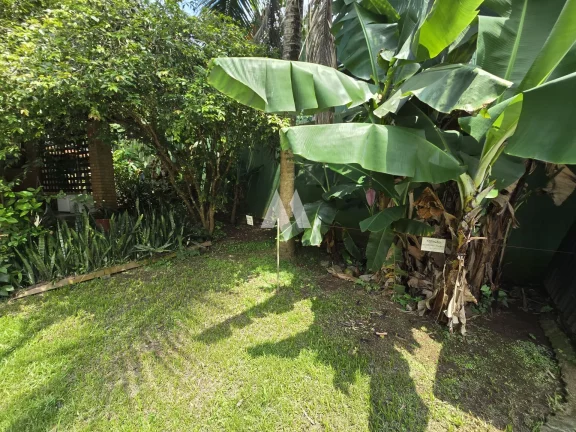 Imagem Casa em Morro Nova Cintra, Santos/SP