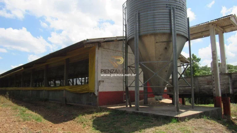 Imagem Área Agrícola para Venda em Lindóia do Sul, Interior