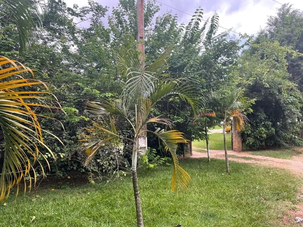Imagem Chácara à venda 4 Quartos, 3 Suites, 24200M², Jardim Maracaibo, Tremembé - SP