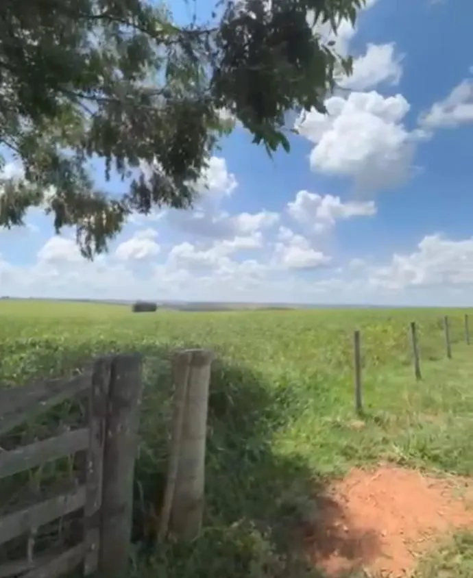 Imagem Vendo uma ótima fazenda em Dores do Indaiá/MG 205 hectares de terra