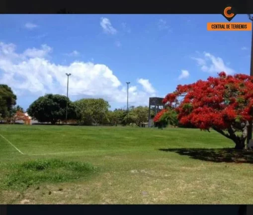 Imagem TERRENO NO CONDOMÍNIO ALBATROZ