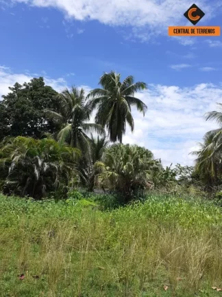 Imagem TERRENO EM LAURO DE FREITAS