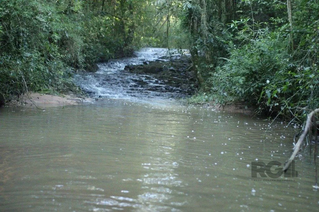 Imagem Terreno em Padre Elly