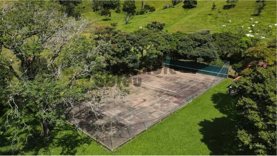 Imagem Fazenda Produtiva e Infraestrutura Completa em 130 Alqueires