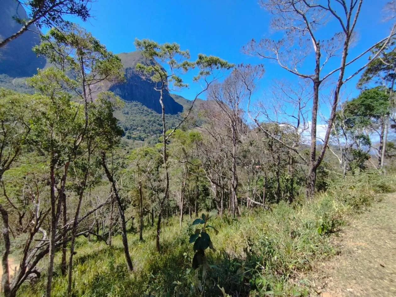 Imagem Terreno para Venda no bairro Araras